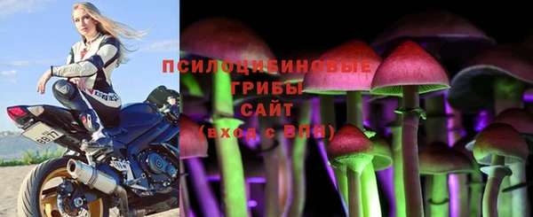 MESCALINE Инта
