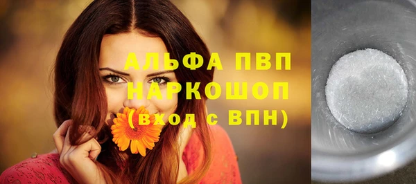 Альфа ПВП Инсар