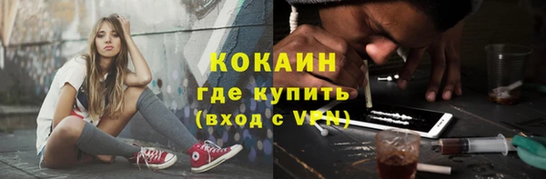 Альфа ПВП Инсар