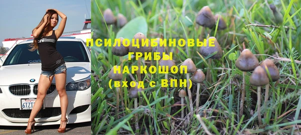 MESCALINE Инта