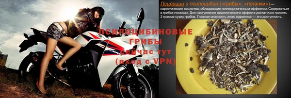 Альфа ПВП Инсар