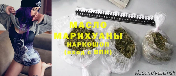 Альфа ПВП Инсар